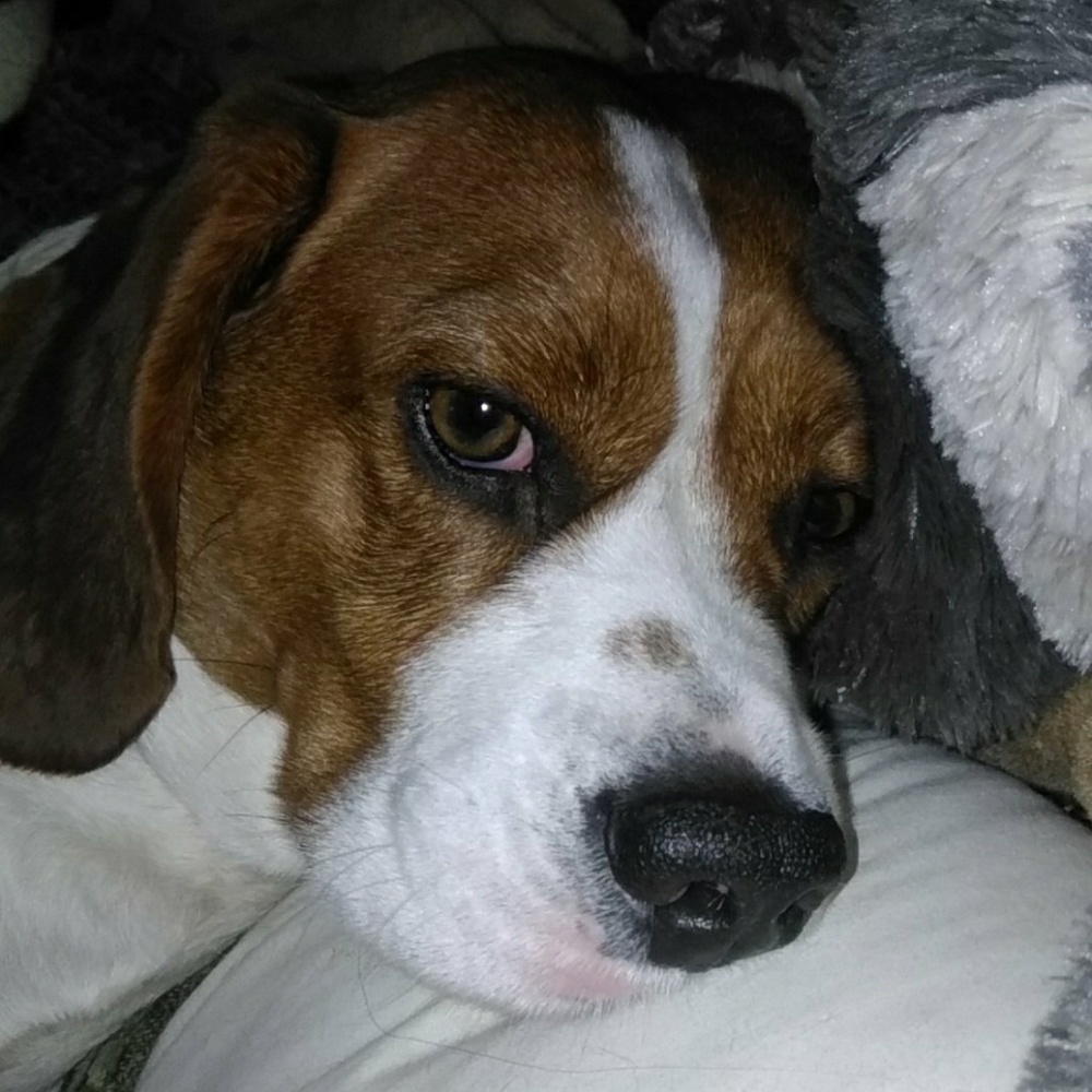 Meet your Posher, Rhea dawn